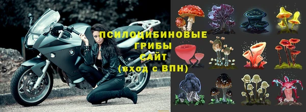 синтетический гашиш Алексеевка