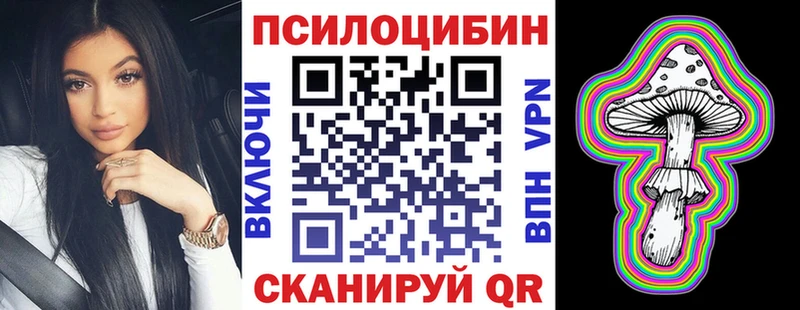 Псилоцибиновые грибы Psilocybe  MEGA как зайти  Ардатов 